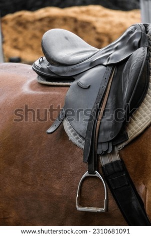 Horse saddle close up photography. Black leather saddle on brown horse at the farm. Royalty-Free Stock Photo #2310681091