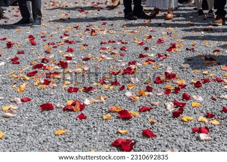 flower leaves on the ground after a wedding