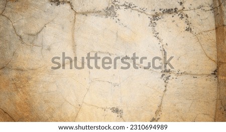 A close-up of an old, textured surface featuring a unique pattern in the background.