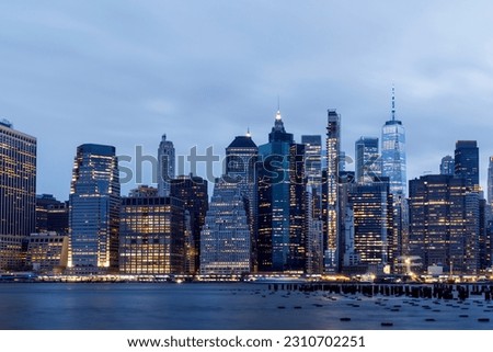 Manhattan skyline in New York, showcasing the impressive architecture and modern cityscape at night
