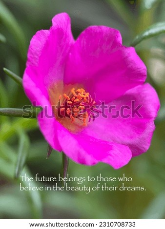 Motivational and inspiring quotes of life in selective focus and blurry background