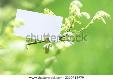 Selective soft focused White blank paper business card mock up clipped on spring tree branch. Nature pastel green quote background with seasonal stationery presentation. Springtime branding copy space Royalty-Free Stock Photo #2310718979