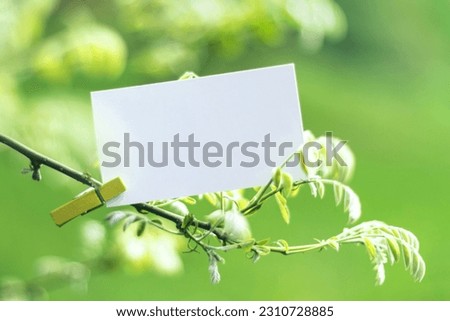 Selective soft focused White blank paper business card mock up clipped on spring tree branch. Nature pastel green quote background with seasonal stationery presentation. Springtime branding copy space Royalty-Free Stock Photo #2310728885
