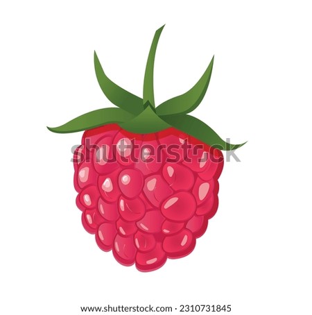 Isolated realistic raspberry on white background Royalty-Free Stock Photo #2310731845
