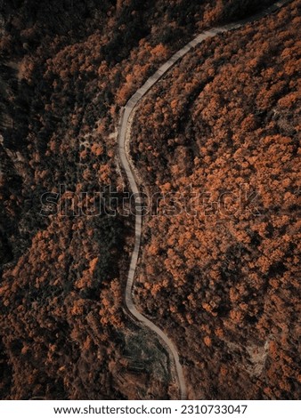 Drone top down shot of a road on a mountain trail with autumn colours moody Greece