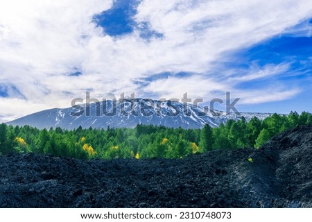 highland landscape of beautiful snow mountain with green pine forest on foreground and nice blue cloudy sky on background, national park reserve
