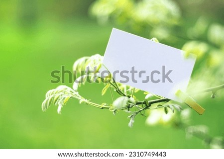Selective soft focused White blank paper business card mock up clipped on spring tree branch. Nature pastel green quote background with seasonal stationery presentation. Springtime branding copy space Royalty-Free Stock Photo #2310749443