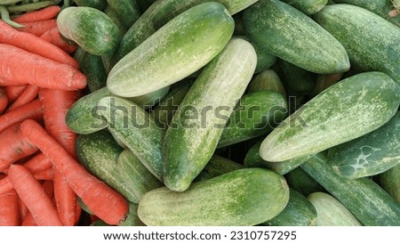 Carrot, cucumber top view, greenhouse cucumbers, long cucumbers, vegetables harvest, carrot food background. Place for text.