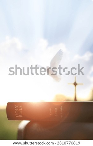 The Holy Cross of Jesus Christ, the Bible, the white dove, the bright light, the sunset and the sky
 Royalty-Free Stock Photo #2310770819