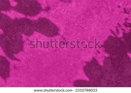 Shadow of leaves on bright magenta pink concrete wall texture with roughness and irregularities. Abstract trendy colored nature concept background. Copy space for text overlay, poster mockup flat lay 