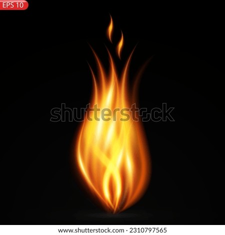 Fire flames isolated on transparent background. Vector realistic special effect. Vector illustration EPS10