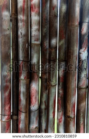 bamboo walls with unique patterns high resolution stock photos and images. photo of bamboo wall texture.