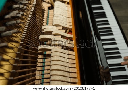A close-up of the internal parts of a piano or grand piano. Selective focus. Details of the musical instrument from the inside. Hammers and strings inside a piano. Part of the internal mechanism