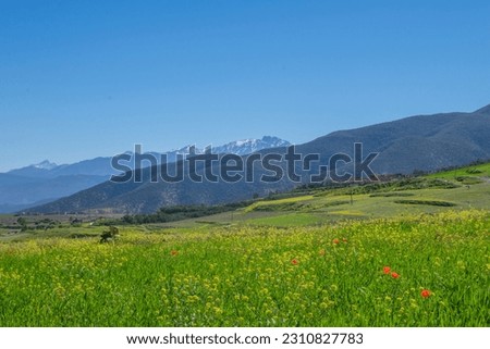 awesome picture of spring in Atlas Mountains 