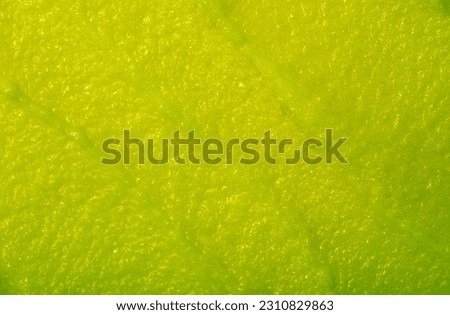 Baby food, vegetable puree close-up. Green mashed broccoli, spinach and apple chopped in a blender. Background texture of food for newborn children. Royalty-Free Stock Photo #2310829863