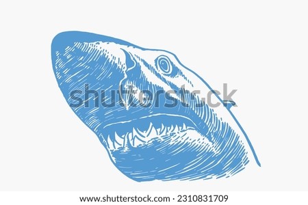 Graphical blue head of shark with sharp teeth isolated on white, megalodon portrait. Vector color illustration of underwater hunter