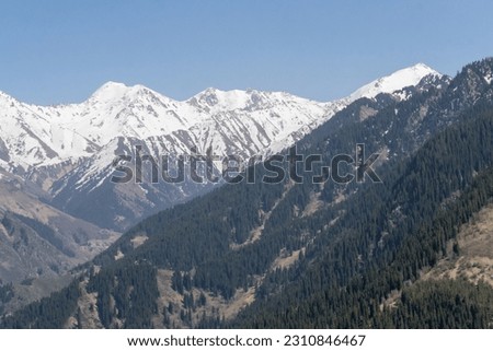 Mountains with snowy peaks and trees (forest) in Kazakhstan, near the Ayusay visitor center