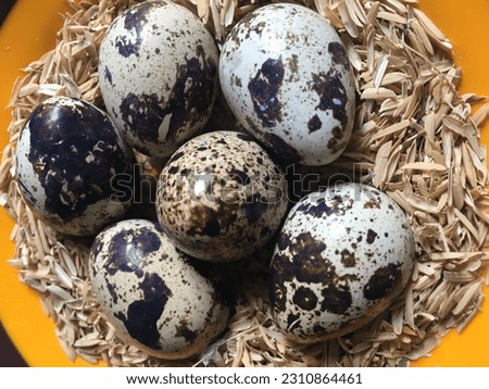 this is what color and quail eggs look like