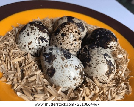 this is what color and quail eggs look like