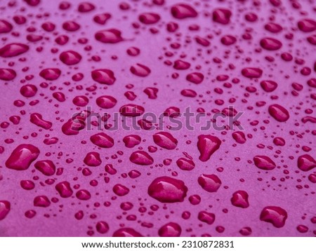 Abstract photo of rainwater remnants isolated on pink background.