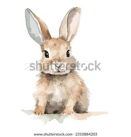 Watercolor Long Ear Hare In Natural State Sitting Front View Concept