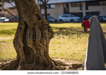 photographer taking a picture of a tree trunk with a vintage full format camera.