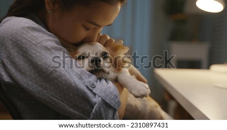 Young asia single woman remote work late night at home office workspace hug kiss cute sleepy chihuahua dog. Pet as child millennial lifestyle. Small animal puppy stress relief therapy for workforce.
