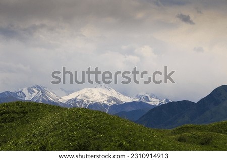 Beautiful spring and summer landscape. Lush green hills, high mountains. Spring blooming herbs. Kyrgyzstan Background for tourism.