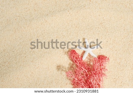 white starfish with pink seaweed on sand background. Sea summer vacation card with space for the text