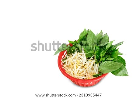 Sweet Basil, Cilantro, and Mung bean sprout side dishes of Thai noodle. Royalty-Free Stock Photo #2310935447