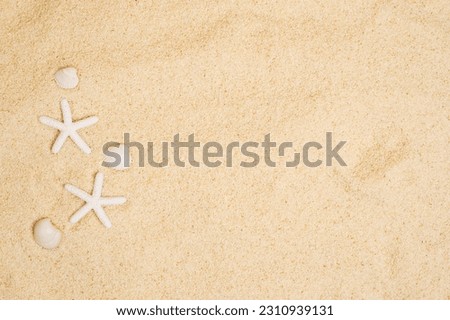 Seashells with starfish on sand background. Sea summer vacation card with space for the text