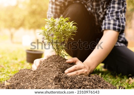 Closeup of hands planting trees on World Environment Day with sunset light, symbolizing the collective commitment and hope for a greener future. Royalty-Free Stock Photo #2310976143