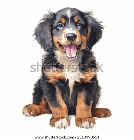 Bernese Mountain Dog watercolor portrait painting illustrated dog puppy isolated on transparent white background