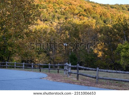 The sunlight hitting the tree tops brings out the pretty fall colors along this Arkansa road. The scene is enhanced by a nice wooden fence. Bokeh.