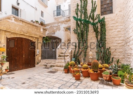 Polignano a Mare street view in Italy Royalty-Free Stock Photo #2311013693