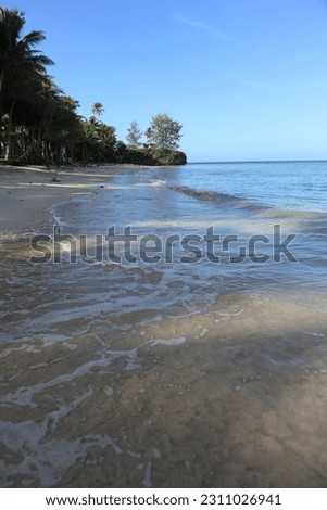 Aru Islands-Indonesia, June 1 2023 white sandy beach with flat waves against a beautiful blue sky and coconut trees that line the beach. Royalty-Free Stock Photo #2311026941