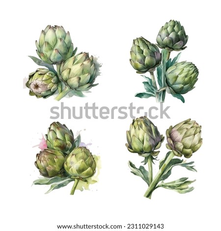 Artichokes vector watercolor paint ilustration Royalty-Free Stock Photo #2311029143