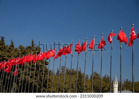 Turkish flags with blue sky in the background in the park in sunny day. Turkish patriotism concept. Turkish symbols concept.