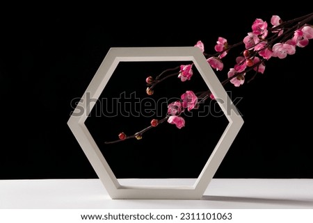 geometric with plum blossom flower on black background.  One Showcase. Scene, display. 