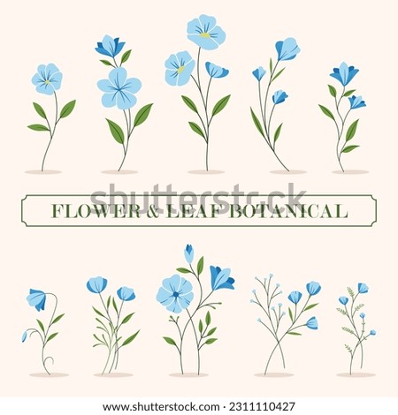Blue flower and leaf botanical illustration.