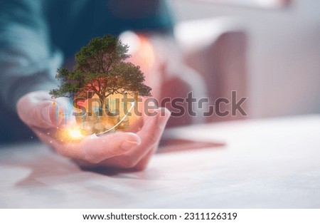 financial and investment concept, hand holding blurred Coins and tree grows on the pile. Saving money for the future. Investment Ideas and Business Growth, grow wealth for retirement and future