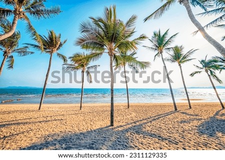  Jomtien Beach in Pattaya, Thailand Royalty-Free Stock Photo #2311129335