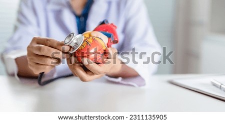 Cardiologist doctor hands holding stethoscope to checking heart model, Aging health care. Royalty-Free Stock Photo #2311135905