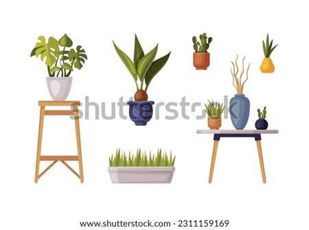 Decorative Houseplants in Pot and Vase as Home Green Decor Vector Set