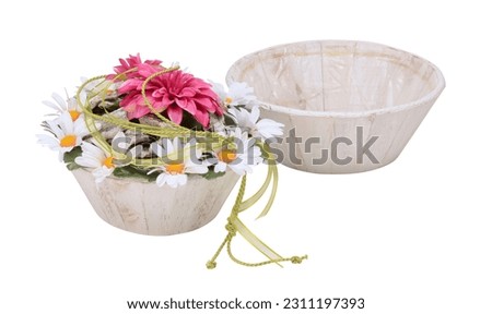 Home flowers decor in pots on white background isolated, with clipping path