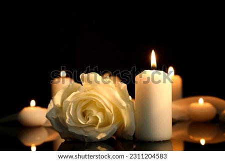 White rose and burning candles on black mirror surface in darkness, closeup with space for text. Funeral symbols Royalty-Free Stock Photo #2311204583