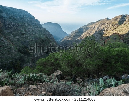 View of green valley with palm trees, cacti and sharp cliffs of La Merica mountain. Seen from Camino La Merica hiking trail. Arure, Valle Gran Rey , La Gomera, Canary Islands, Spain