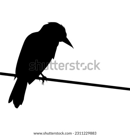 Silhouette of the Bird Perched on the Electrical Wire Base on my Photography. Vector Illustration