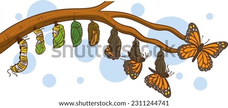 caterpillar turning into a butterfly vector illustration
