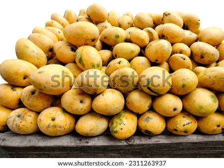 Ripe mangoes for sale at a market. Exotic Indian mangoes Fruit. Many fresh mangoes beautiful background. Heaps of mangoes in market. Isolated on white background.